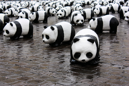 Wwf Metti Un Panda Sotto L Albero Greenews Info