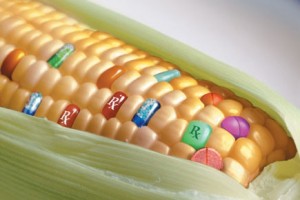 OGM, Courtesy of IlSerpentediGaleno.com
