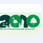 Courtesy of UNESCO