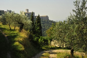 bosco di san francesco, Courtesy of Fai, Flickr.com