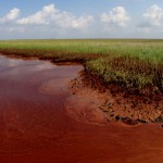 "Scenes from the Gulf of Mexico", Courtesy of Boston.com