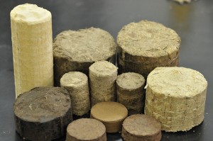 biomassa, Courtesy of Lis Catenaci, Flickr.com