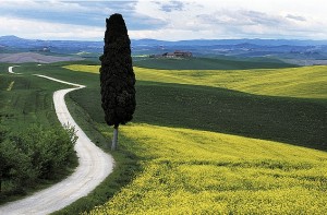 paesaggio, Courtesy of d.carradori, Flickr.com