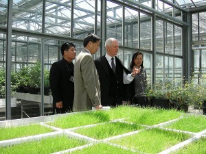 I professor Angelo Garibaldi nelle serre di Agroinnova a Grugliasco