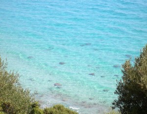 Coste del Mediterraneo, Courtesy of Luigi fdv, Flickr.com