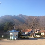 Musine da basso