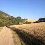 strada con fattoria