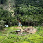 Forest Conservation Units in the Brazilian AmazonUnidade de ConservaÃ§Ã£o na AmazÃ´nia