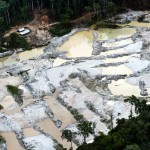 Forest Conservation Units in the Brazilian AmazonUnidade de ConservaÃ§Ã£o na AmazÃ´nia