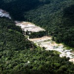 Forest Conservation Units in the Brazilian AmazonUnidade de ConservaÃ§Ã£o na AmazÃ´nia