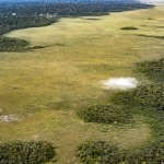 Forest Conservation Units in the Brazilian AmazonUnidade de ConservaÃ§Ã£o na AmazÃ´nia