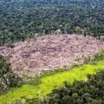 Forest Conservation Units in the Brazilian AmazonUnidade de ConservaÃ§Ã£o na AmazÃ´nia