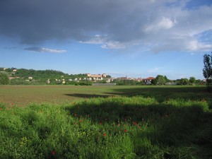 L'area Le Vallere, sede del Parco del Po, Courtesy of Parco Fluviale del Po Torinese