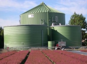 biogas, courtesy of ambientevita.it